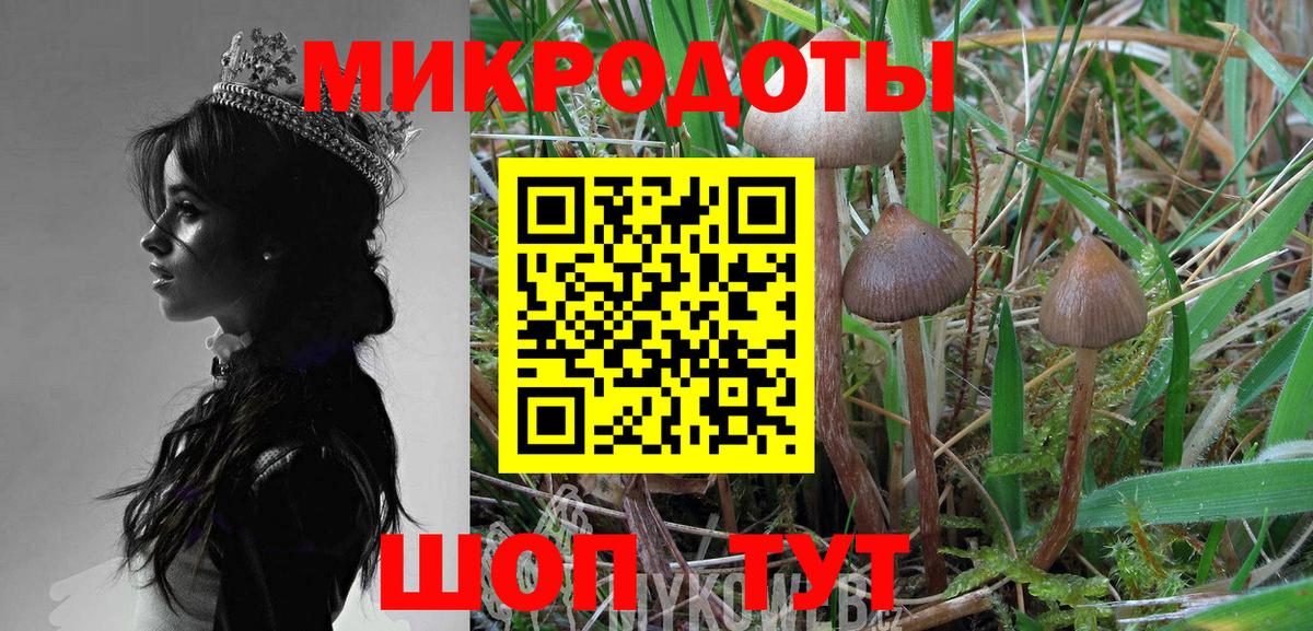 Галлюциногенные грибы мухоморы Саяногорск